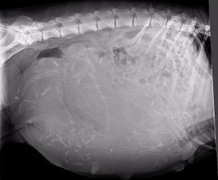 ECB7DBD9-195A-4BED-86E0-FAF27A5757D8